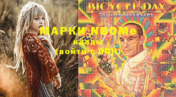 индика Куйбышев