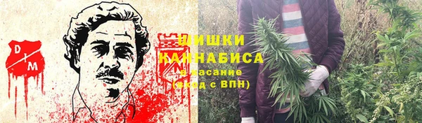 индика Куйбышев