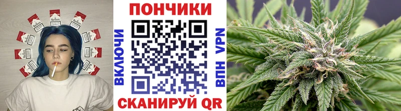 нарко площадка наркотические препараты  Семикаракорск  Канабис VHQ 