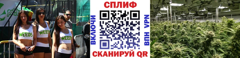 Конопля индика Семикаракорск